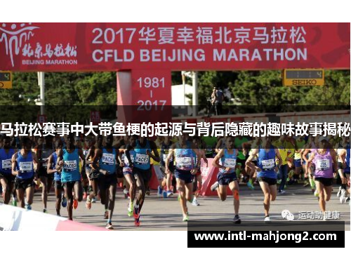 马拉松赛事中大带鱼梗的起源与背后隐藏的趣味故事揭秘